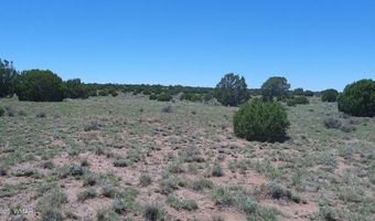Tbd Windsor Valley Ranch Lot 87, Concho, AZ 85924