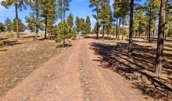 N2147, Alpine, AZ 85920