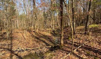 0 HIGHWAY 231 Tract - 27+/- Ac, Ashville, AL 35953