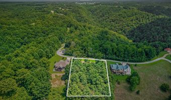 Fox Hill Road Lot 4 & 5, Baxter, TN 38544
