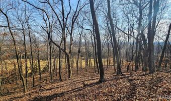 205 Hemsath Rd, Augusta, MO 63332
