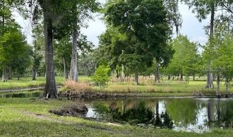 Tbd CORKWOOD LANE, Astatula, FL 34705