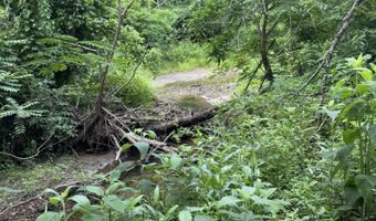 Geeville Road, Baldwyn, MS 38824