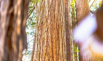 2001 Cathedral, Aptos, CA 95003
