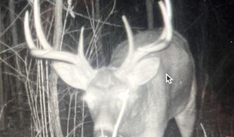 271 18 Acres Zwettler/Foster Rd, Arena, WI 53503