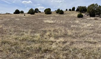 6270 N State Route 89, Chino Valley, AZ 86323