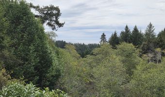 96420 ALDER RIDGE Rd, Brookings, OR 97415