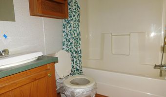 921 Hall St, Albion, MI 49224