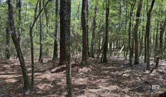 Ronald Sanks Road, Bay Minette, AL 36507