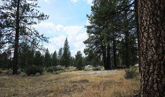 Swan Drive 16 & 17, Bonanza, OR 97623