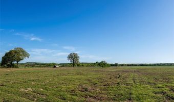 Tbd Parker Dairy Road, Alvord, TX 76225