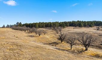 High Pines Lane, Belle Fourche, SD 57717