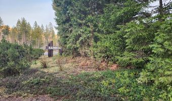 54432 MCKENZIE Hwy 9, Blue River, OR 97413