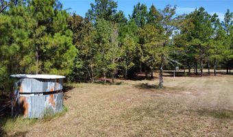 651 Grand Saline St, Alba, TX 75410