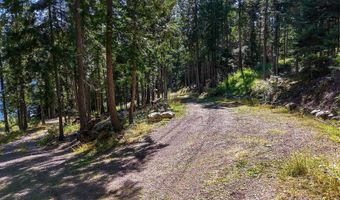 Swan Shores Lane, Bigfork, MT 59911