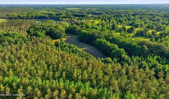 425 Rose Hill Rd, Bentonia, MS 39040