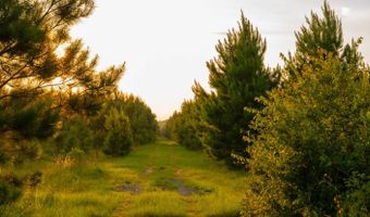 Mann Road 1, Arabi, GA 31712