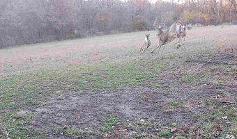 560 Th Ave, Albia, IA 52531