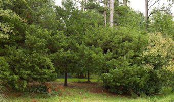 6450 Manship Rd, Brandon, MS 39047