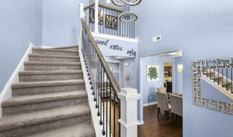 8809 Buffalo Gourd Ln, Angier, NC 27501