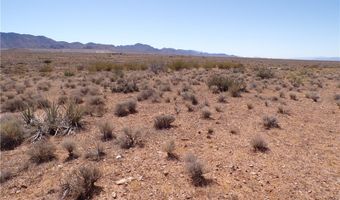 308-22 395 N Palo Verde Dr, Chloride, AZ 86431