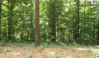 8 63ac Gravely Hill Rd, Bethpage, TN 37022