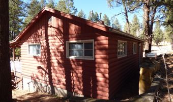 14 16 N CR 2057, Alpine, AZ 85920