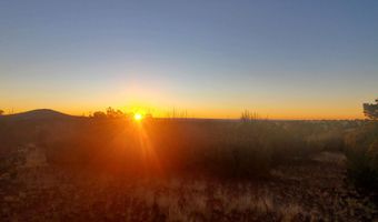 1 COUNTY ROAD N8155, Concho, AZ 85924