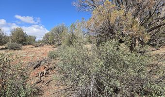 133 Arizona Rd, Ash Fork, AZ 86320