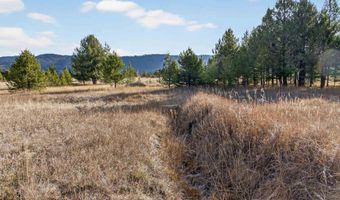 10201 Packsaddle Rd, Cascade, ID 83611