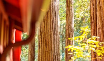 2001 Cathedral, Aptos, CA 95003
