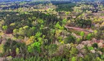 Harrisville Braxton Road, Braxton, MS 39044