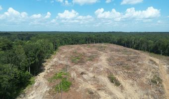 SE Cole Drive, Bogue Chitto, MS 39629