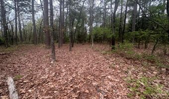 UNIT # 263B KIAMICHI WILDERNESS RD Unit # 63 63, Antlers, OK 74523
