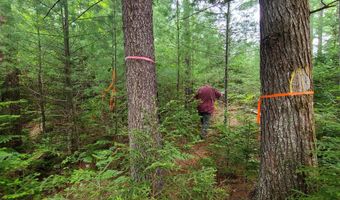 Map 14 lot 50, Andover, ME 04216