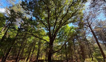 3170 Highway 20, Abbeville, SC 29638