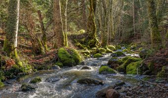 2829 Buckhorn Springs Rd, Ashland, OR 97520
