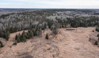 8874 Highway 25, Angora, MN 55703