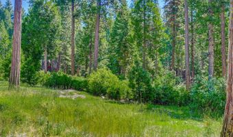 10 Timber Trail Ct, Arnold, CA 95223