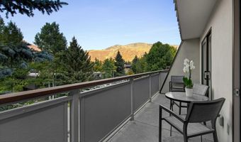 100 E Dean St 3B, Aspen, CO 81611