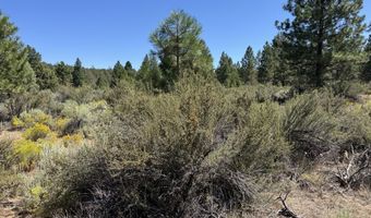 Bufflehead Drive 18, Bonanza, OR 97623