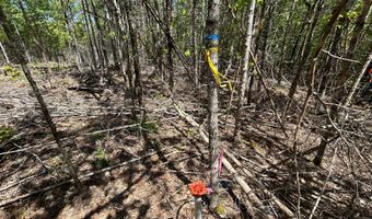 050- C-1 W Waldo Rd, Belfast, ME 04915