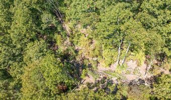 20181 N Fork River Road Lot 6 7 8, Abingdon, VA 24210