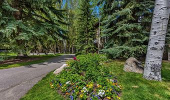 1354 Sierra Vista Dr, Aspen, CO 81611