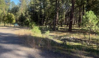 7 2190, Alpine, AZ 85920