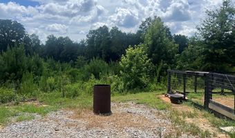 916 County Road 6632, Banks, AL 36005