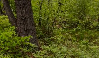 4422 Bennoch Rd, Acton, ME 04468