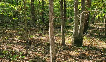 County Road 118, Annapolis, MO 63620