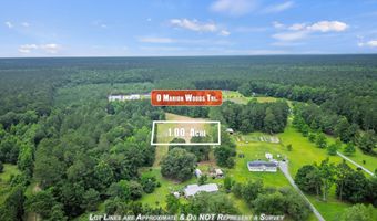 Marion Woods Trail, Bonneau, SC 29431
