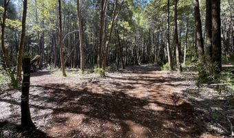 Agness-Illahe Rd, Agness, OR 97406